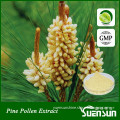 GMP factory Supply powder form pine pollen broken powder